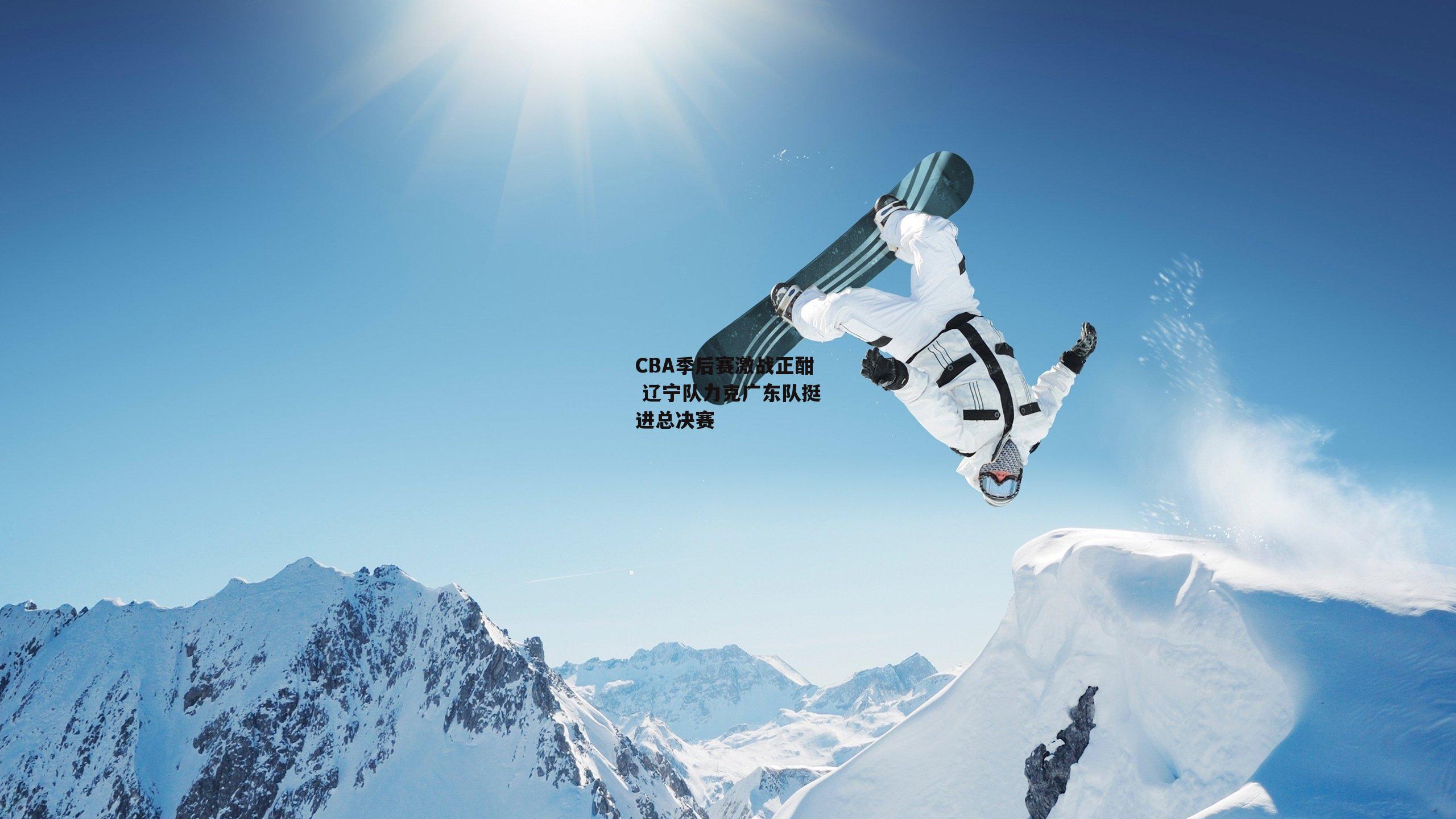 CBA季后赛激战正酣 辽宁队力克广东队挺进总决赛