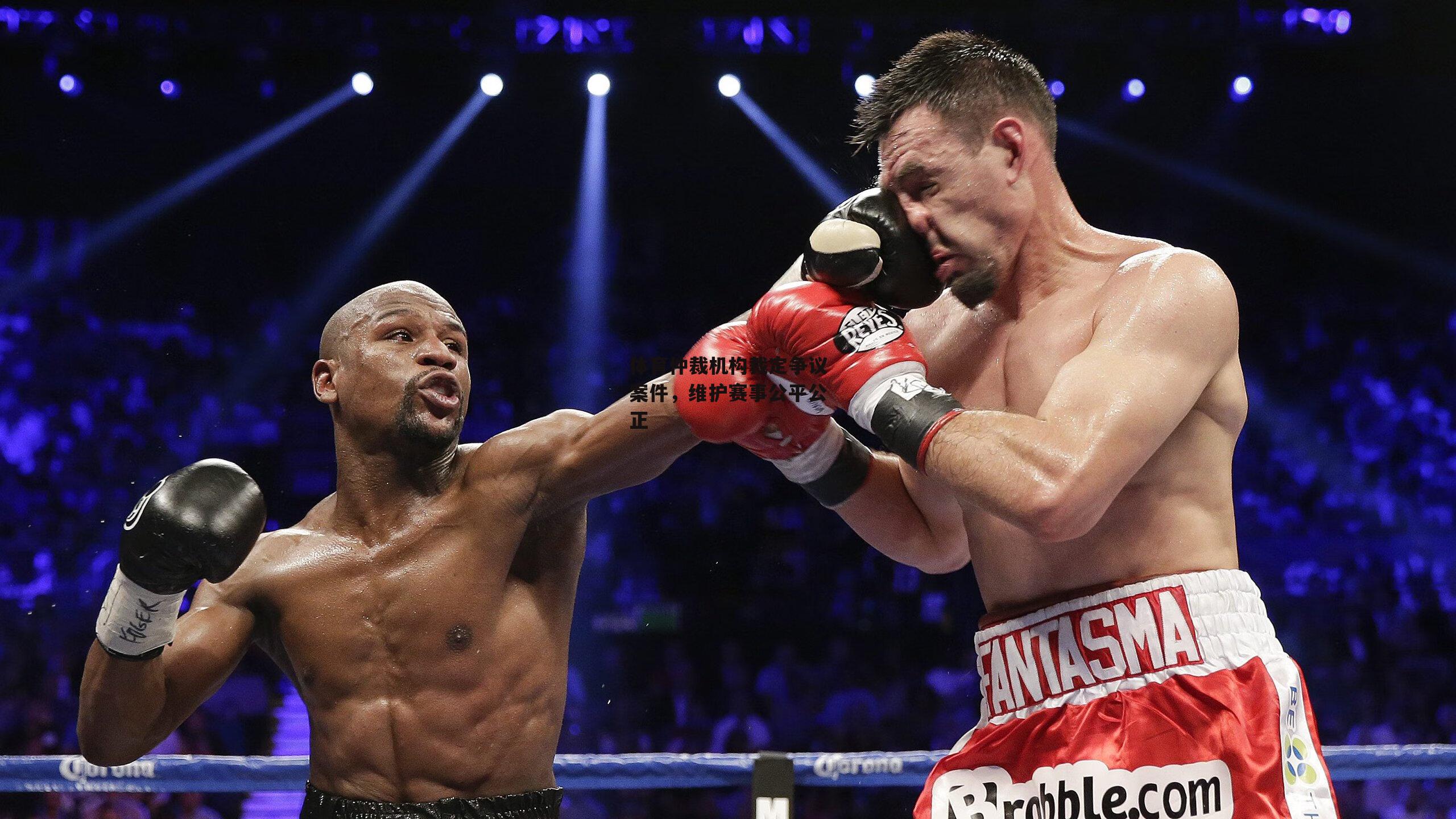 体育仲裁机构裁定争议案件，维护赛事公平公正|江南体育网站