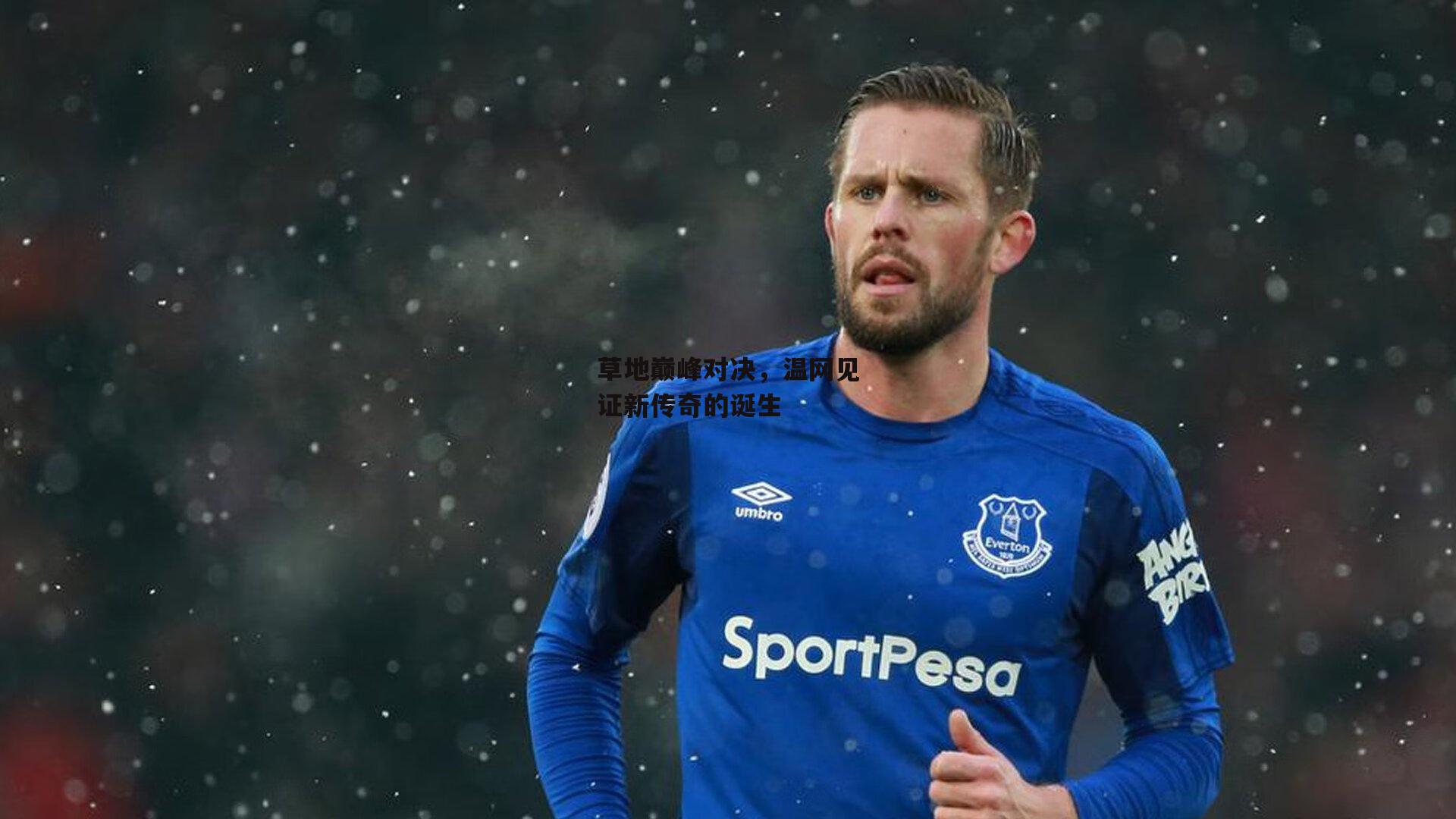 草地巅峰对决,温网见证新传奇的诞生