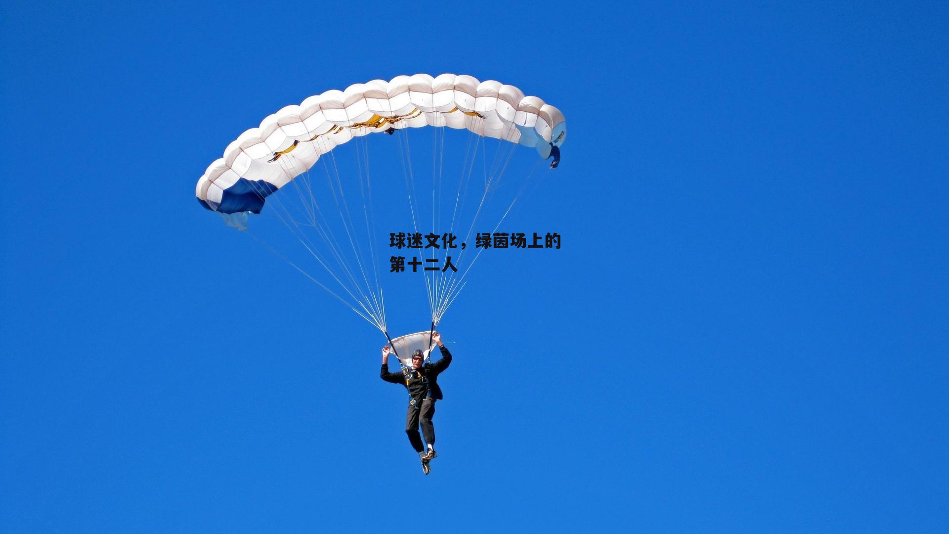 球迷文化,绿茵场上的第十二人